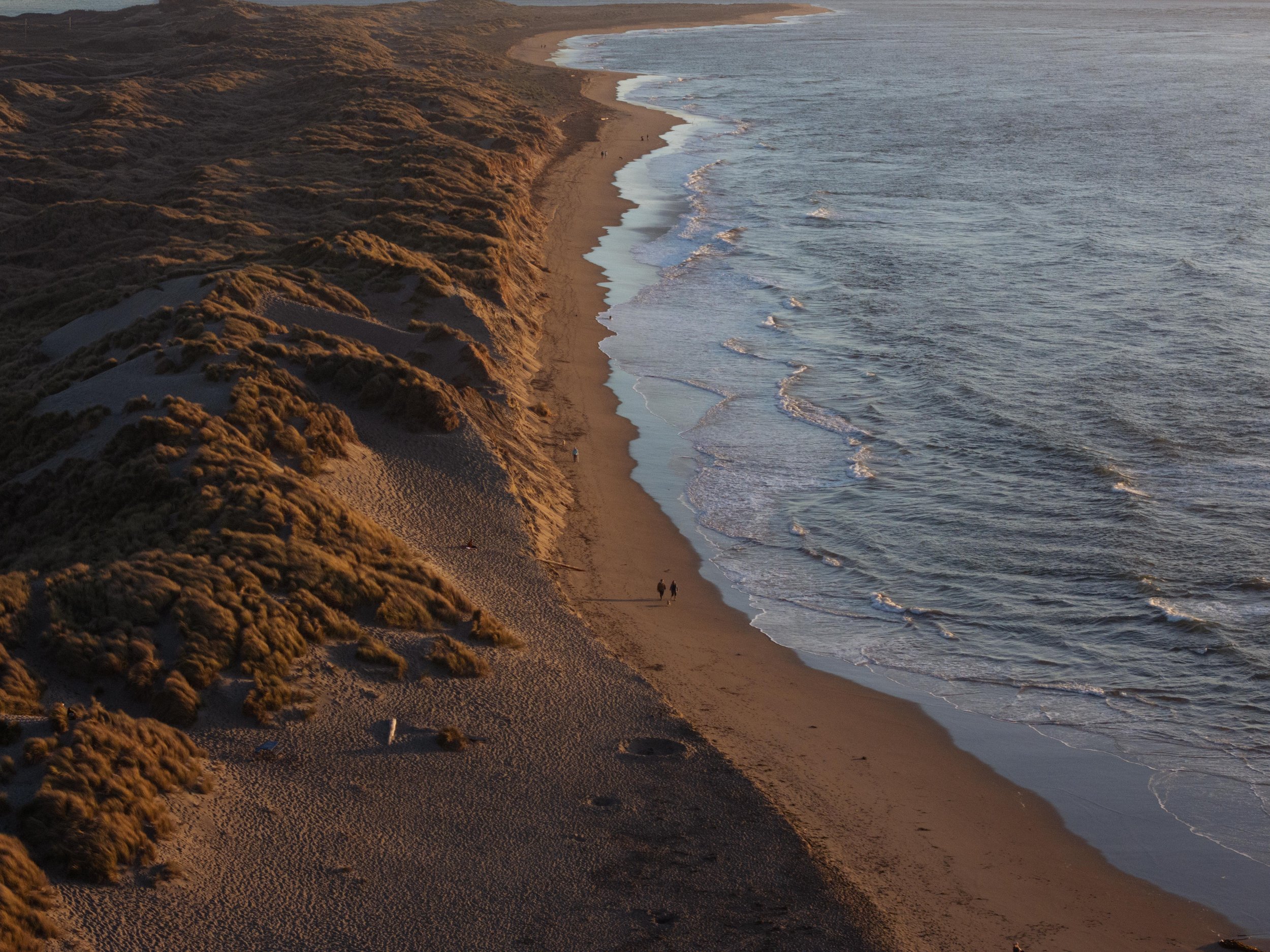 Aerial view of a sandy beach along ocean with waves and grassy sand dunes bordering the coast, during sunset.